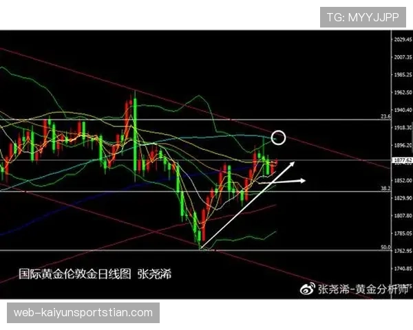 山东泰山进攻仍具威胁，效率不稳是否制约争冠形势？