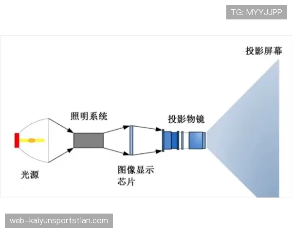 纽卡争四形势动态变化，对赛季最终排名构成关键影响